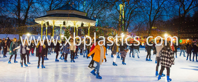 Synthetic Ice Rink Panel